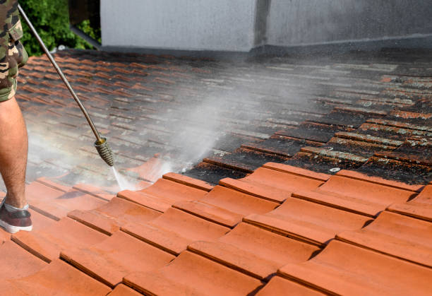 Best Affordable Pressure Washing  in Niceville, FL