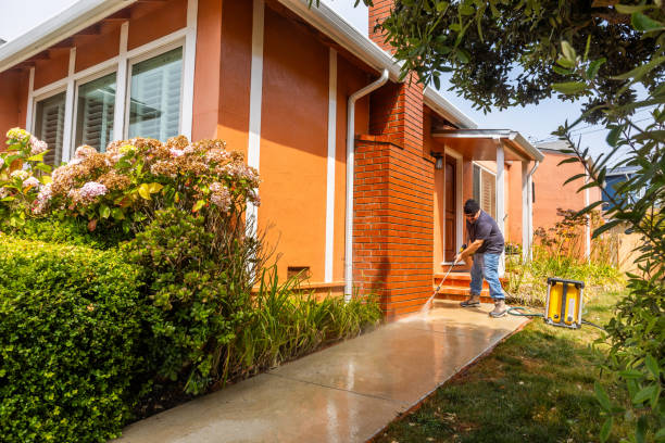 Best Local Pressure Washing Services  in Niceville, FL