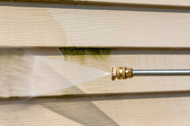 Best Residential Pressure Washing Services  in Niceville, FL