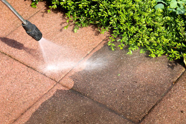 Best Pressure Washing Near Me  in Niceville, FL